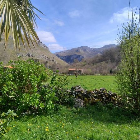 Amplia Y Comoda Casa De Piedra Con Porche Y Jardin San Roque de Ríomiera Exterior foto